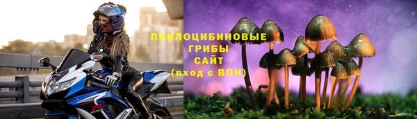 стаф Володарск