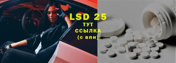 индика Волосово