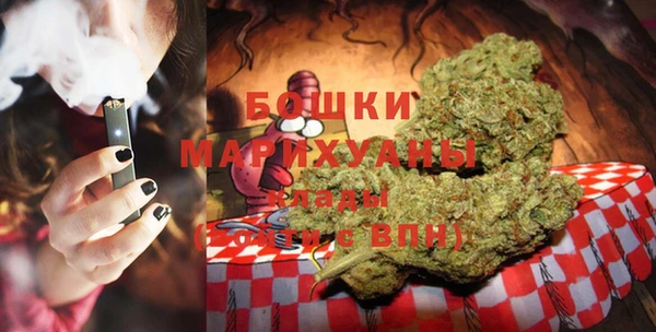 индика Волосово