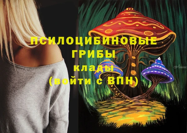 мяу мяу мука Снежногорск