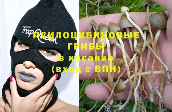 меф Сафоново