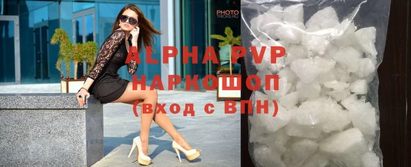 индика Волосово